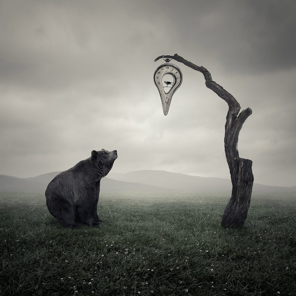 Photographer Leszek Bujnowski