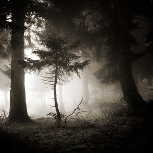 fotograf ebru sidar