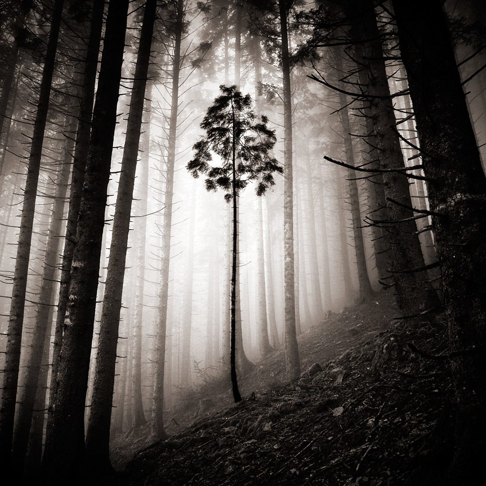 Photographer Ebru Sidar